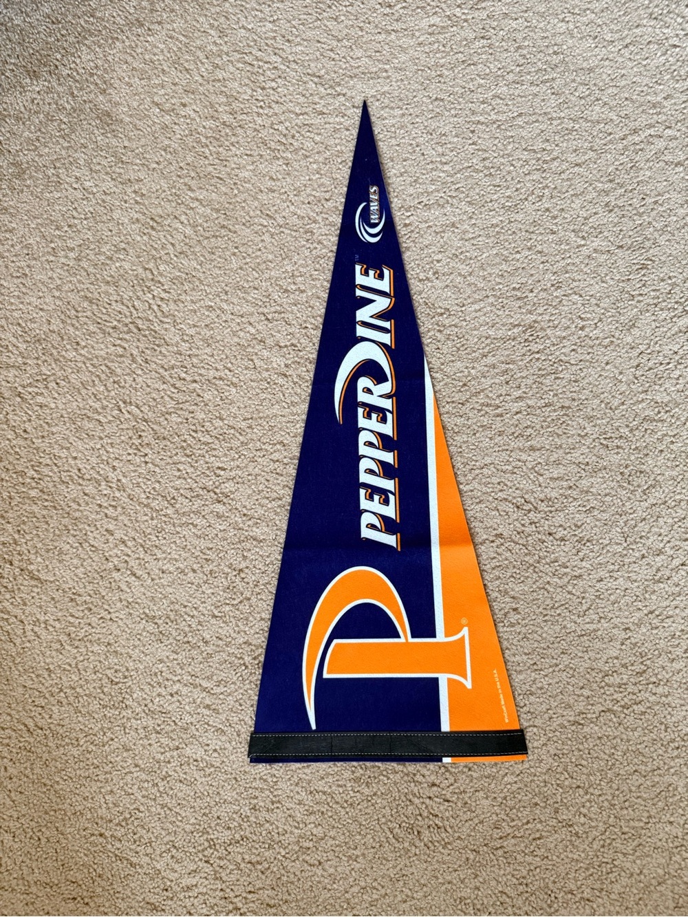 Blue and Orange Pennant - University